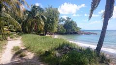Eine kleine Bucht mit einem schmalen Sandstrand, einem Grasstreifen und einem Sandweg. Rechts und links davon stehen Palmen und am Wasser ragen Mangroven ins Wasser.